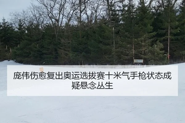 pang-wei-shang-yu-fu-chu-ao-yun-xuan-ba-sai-shi-mi-qi-shou-qiang-zhuang-tai-cheng-yi-xuan-nian-cong-sheng-2-945.jpg