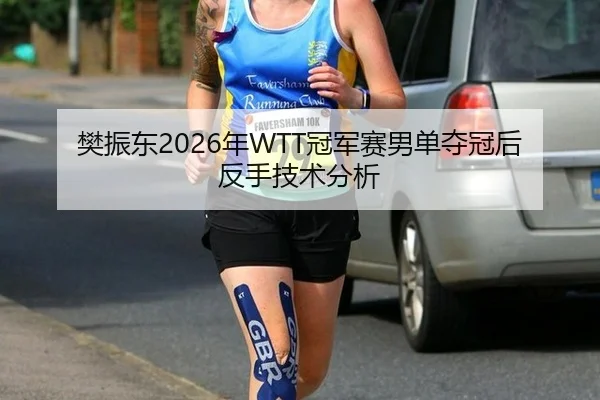 樊振东2026年WTT冠军赛男单夺冠后反手技术分析
