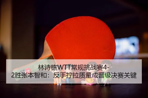 lin-shi-dong-chang-gui-tiao-zhan-sai-sheng-zhang-ben-zhi-he-fan-shou-ning-la-zhi-liang-cheng-jin-ji-jue-sai-guan-jian-3-499.jpg